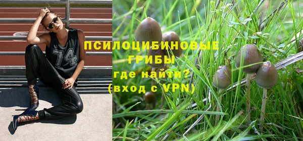 стафф Балабаново